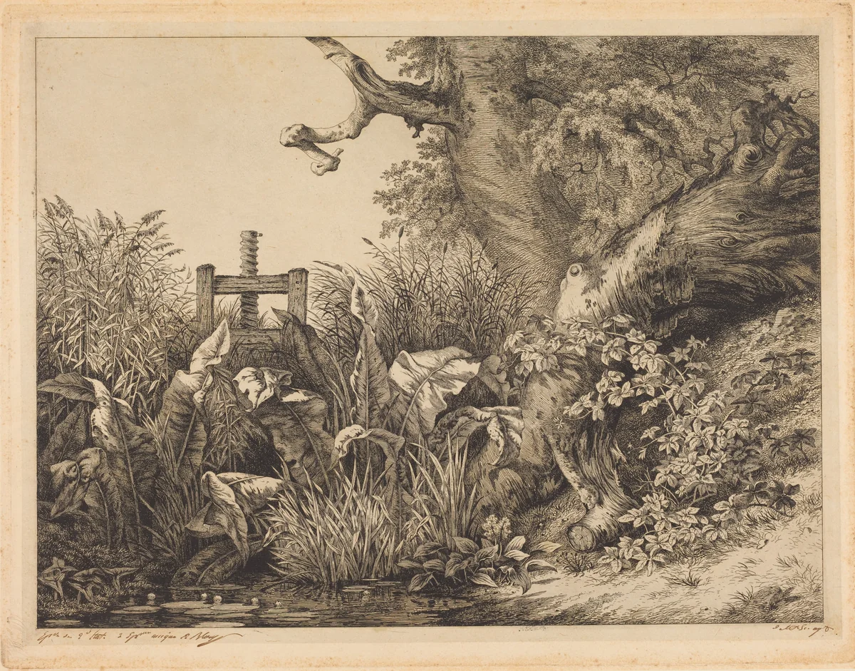 Water Dock and Brambles at a Sluice by Eugène Bléry, print, 1843