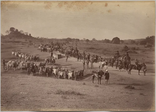 Elephant Battery on March at Jhansi by Raja Deen Dayal, photograph, 1877-1892