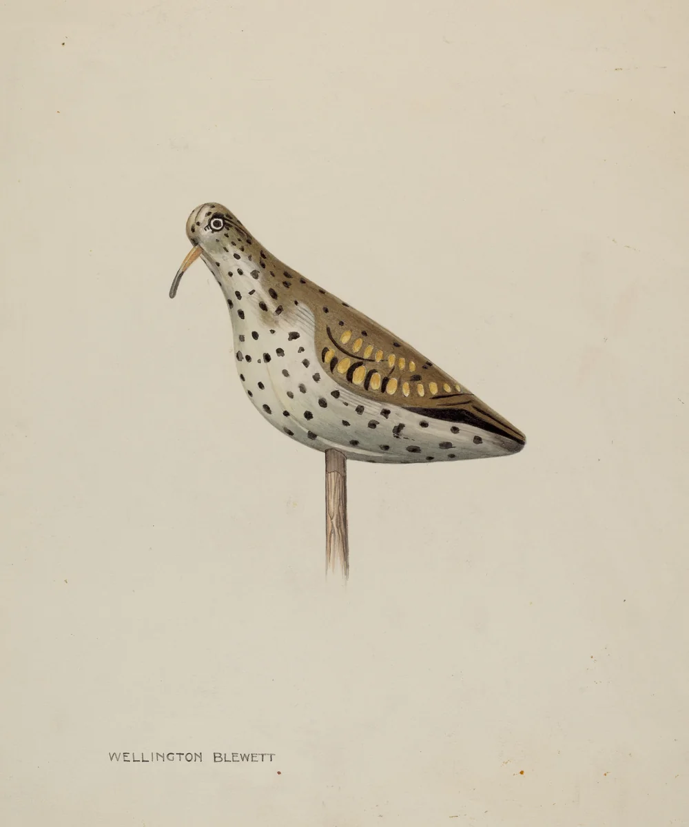 Decoy by Wellington Blewett, index of american design, 1939