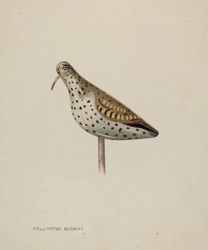 Decoy by Wellington Blewett, index of american design, 1939