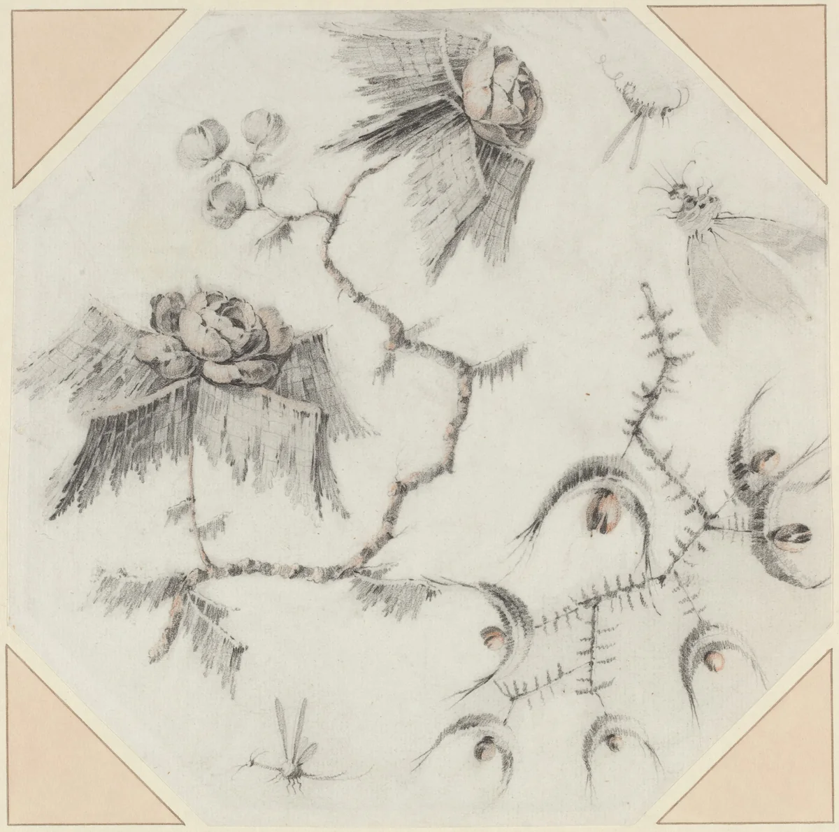 Fanciful Flowers and Bugs by Jean Baptiste Pillement, drawing, 1728-1808