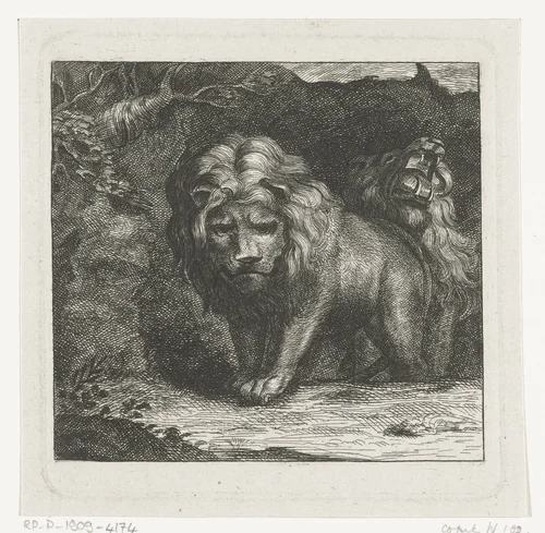 Twee leeuwen bij de ingang van hun hol by anonymous, print, 1750-1900