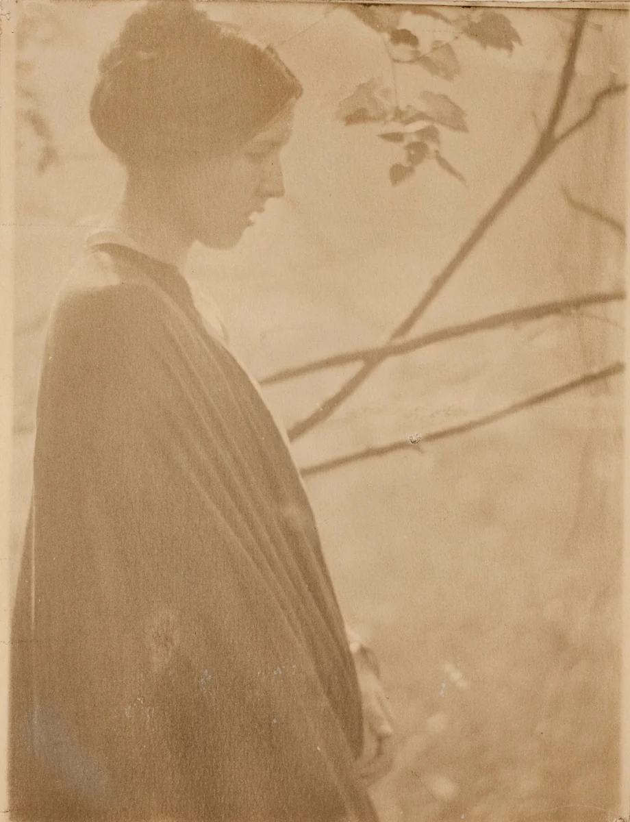 Sunlight by Clarence H. White, photograph, 1899
