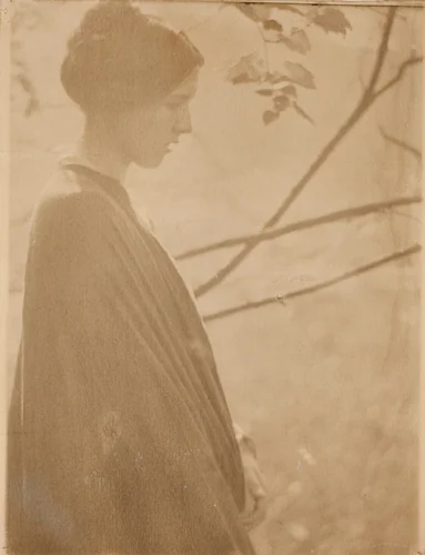 Sunlight by Clarence H. White, photograph, 1899