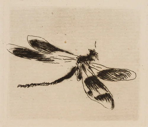 Dragonfly, plate 1 from Le Fleuve by Édouard Manet, print, 1874