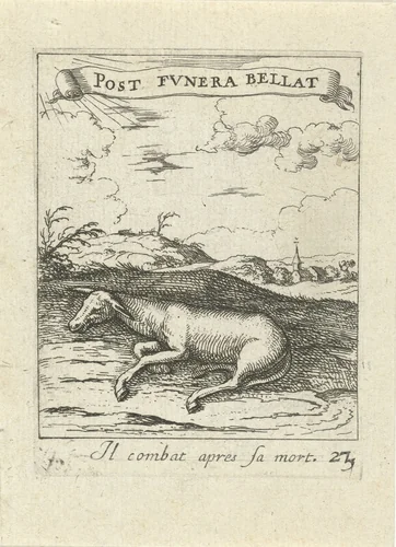 Dode ezel by Albert Flamen, print, 1672