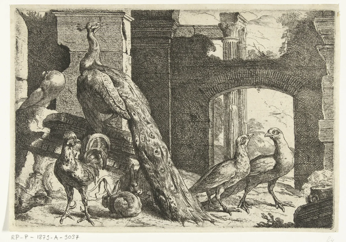 Pauw en andere dieren by Peeter Boel, print, 1657