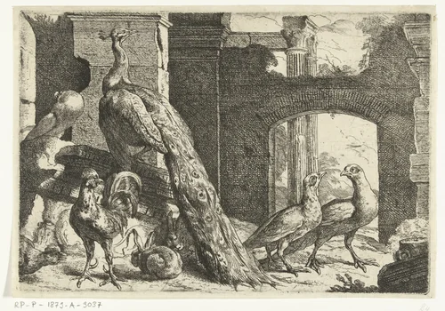 Pauw en andere dieren by Peeter Boel, print, 1657
