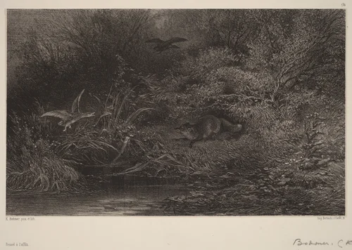 Renard à l'affût by Karl Bodmer, print, 1809-1893