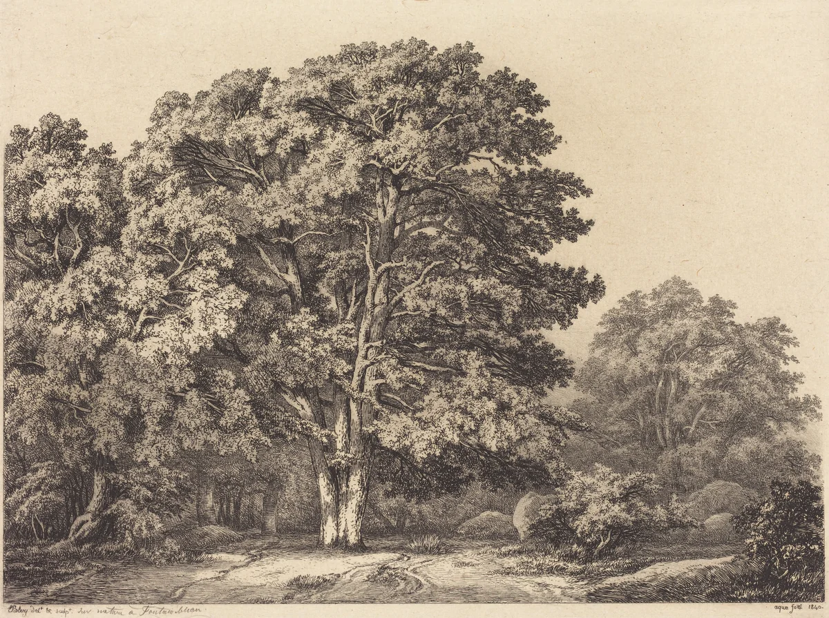 Entrance to a Forest by Eugène Bléry, portfolio, 1840