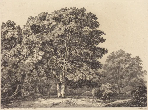 Entrance to a Forest by Eugène Bléry, portfolio, 1840