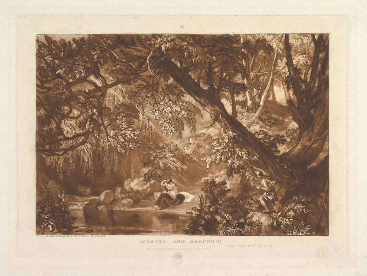 Aesacus and Hesperie, Vide Ovid Metamorphosis, Book XI, part XIII, plate 66 from "Liber Studiorum" by Joseph Turner, print, 1819