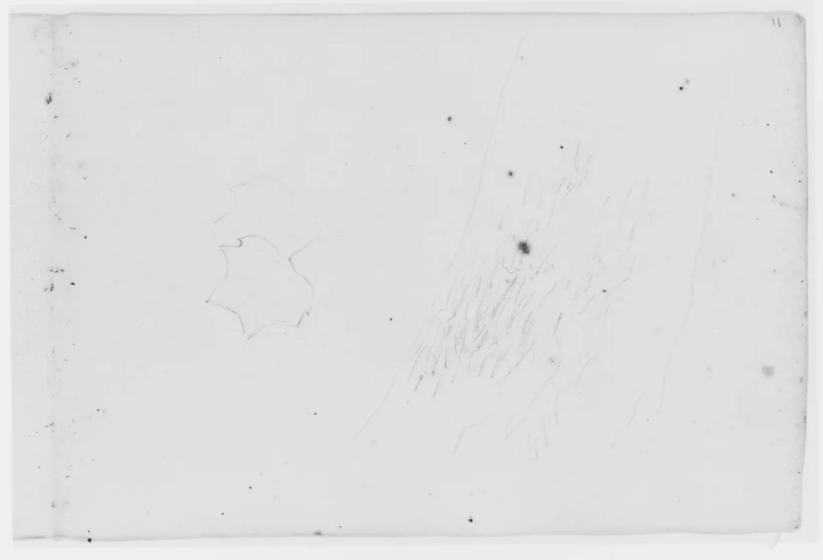 Leaf and Tree Study (from Sketchbook) by Asher Brown Durand, artwork, 1796-1886