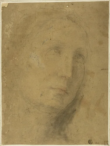 Head Looking Upwards by Unknown Artist, drawing, 1580-1599