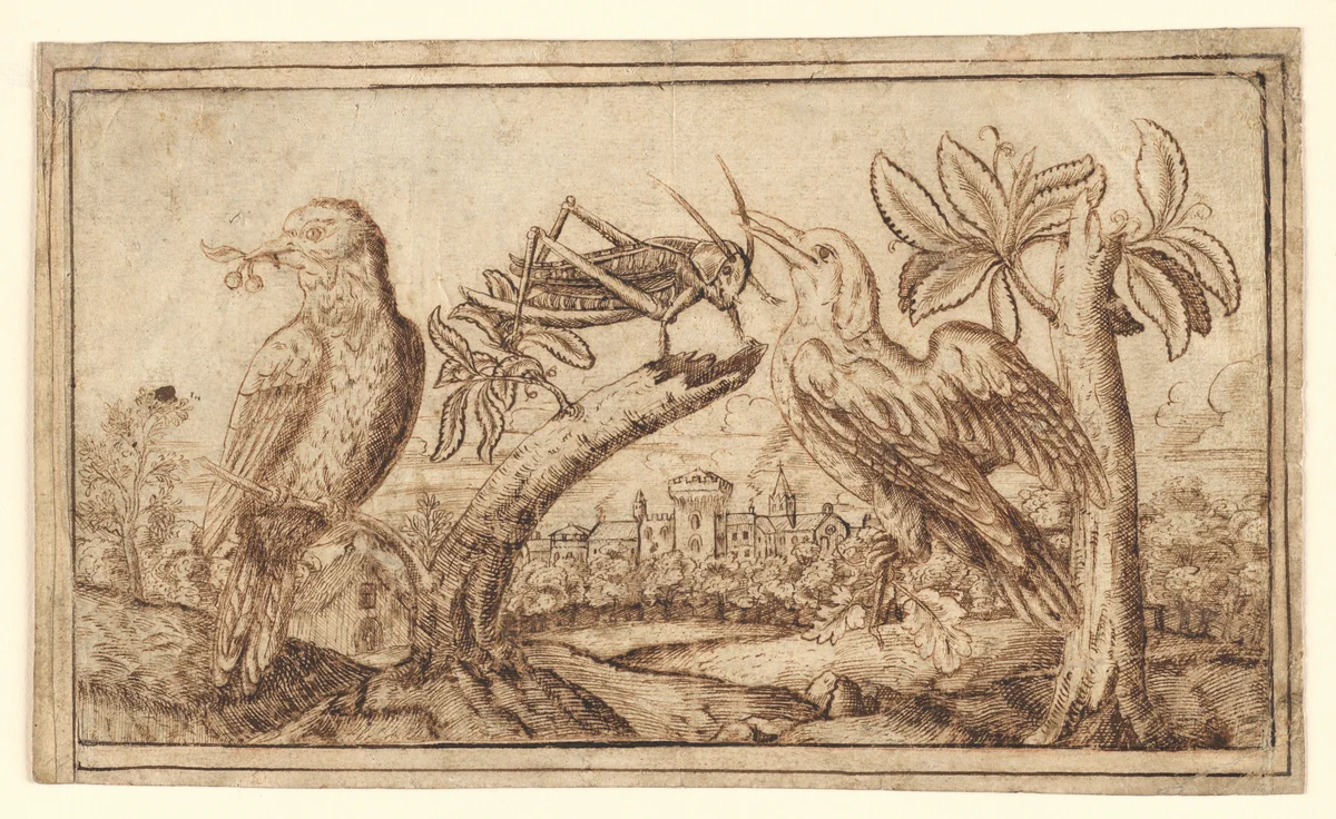 Two Birds and a Cricket by Flanders, drawing, 1671-1700