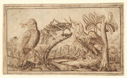 Two Birds and a Cricket by Flanders, drawing, 1671-1700