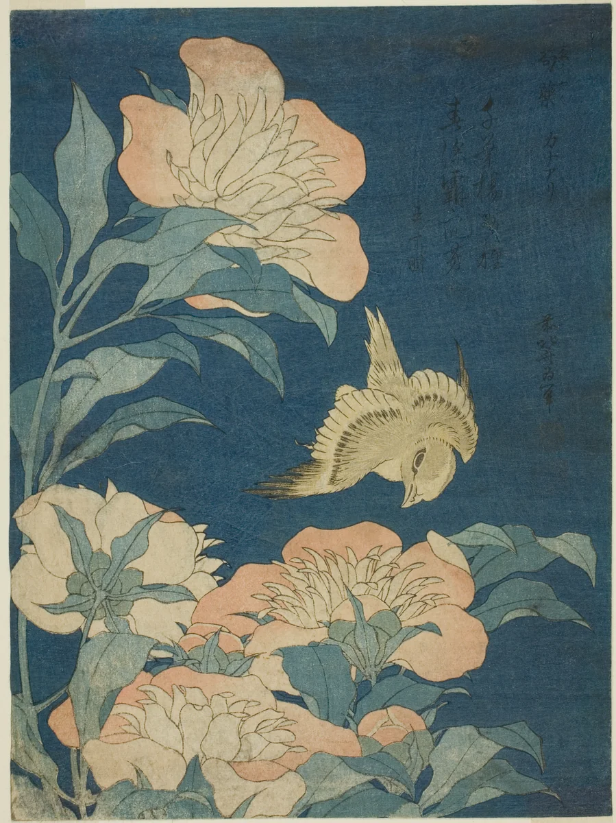 Canary and Peony, from an untitled series by Katsushika Hokusai (葛飾 北斎), print, 1829-1839