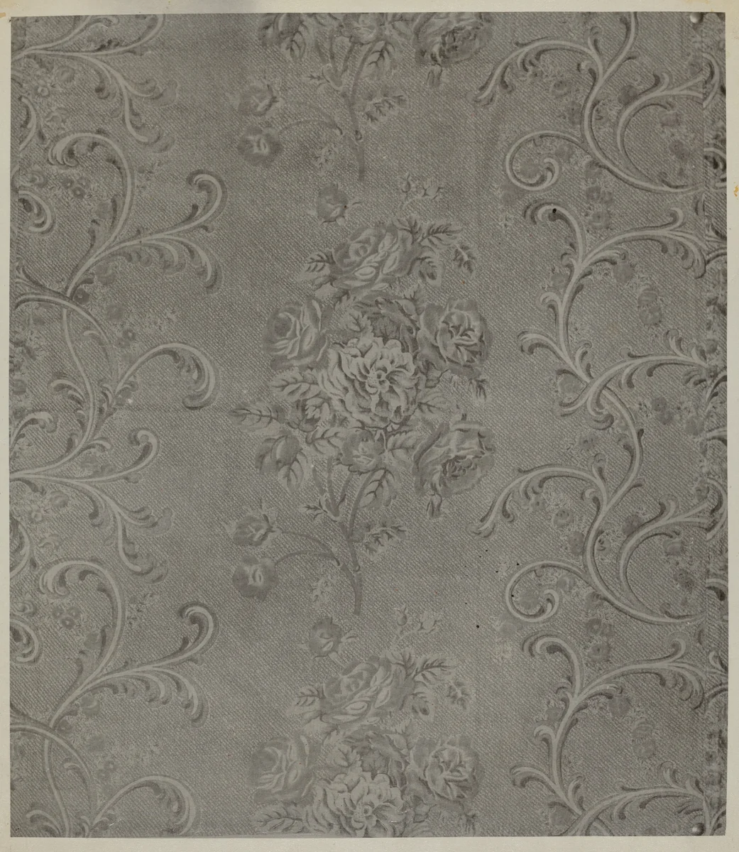 Printed Cotton by George Loughridge, index of american design, 1936