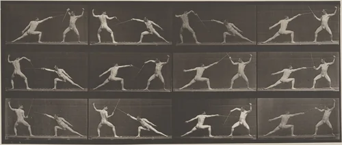 Plate Number 349. Fencing by Eadweard Muybridge, photograph, 1887