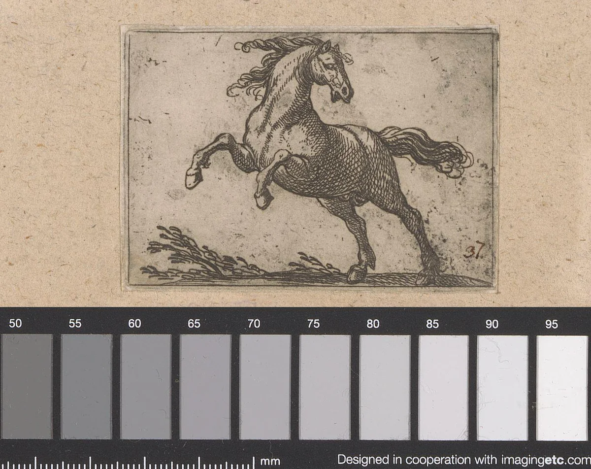 Steigerend paard naar links gewend by Antonio Tempesta, print, 1565-1630