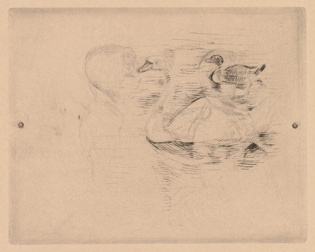 Swan and Duck, with portraits of Julie (Cygne et canard, avec portraits de Julie, or Cygne et canard, essai) by Berthe Morisot, print, 1889