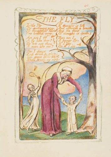 Songs of Experience: The Fly by William Blake, print, 1794-1825