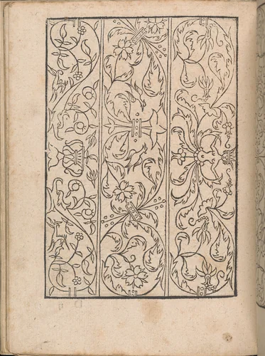 New Modelbüch allen Nägerin u. Sydenstickern (Page 14v) by Hans Hoffman, book, 1556