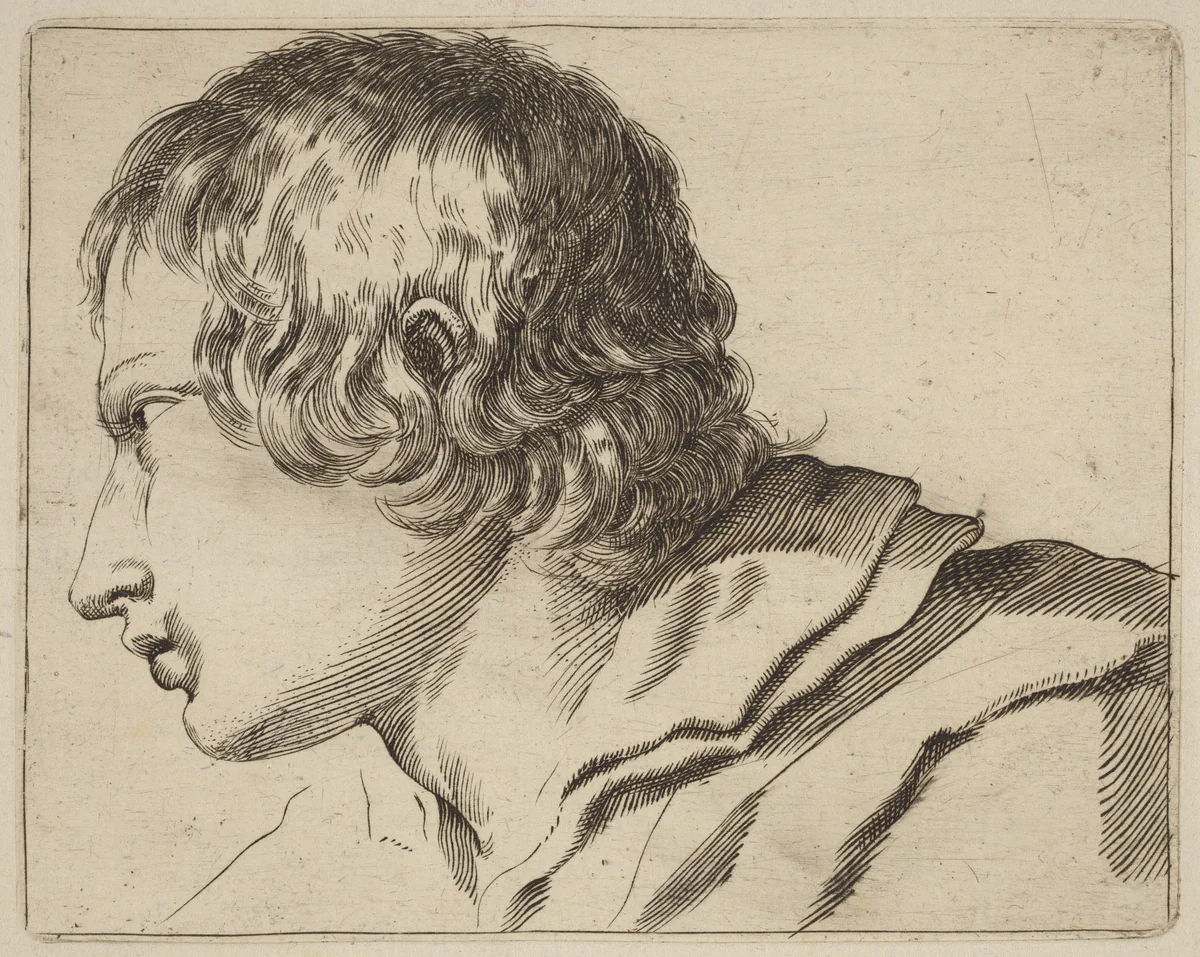 Head of a Man Turned Left by Stefano della Bella, print, 1610-1664