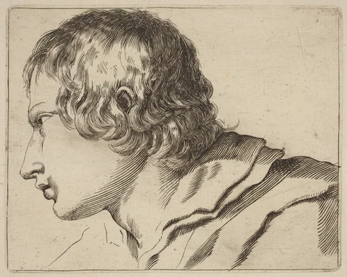 Head of a Man Turned Left by Stefano della Bella, print, 1610-1664