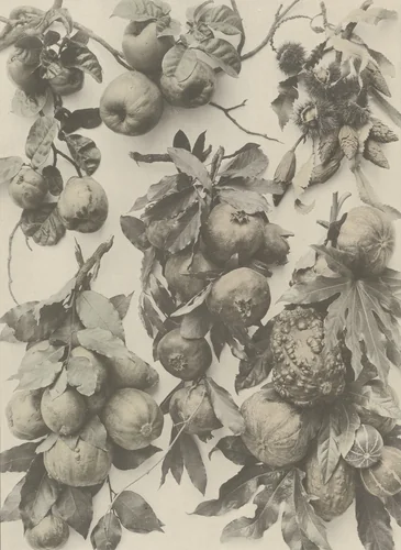 Page from Festons und Dekorative Gruppen by Unidentified Photographer, photograph, 1893