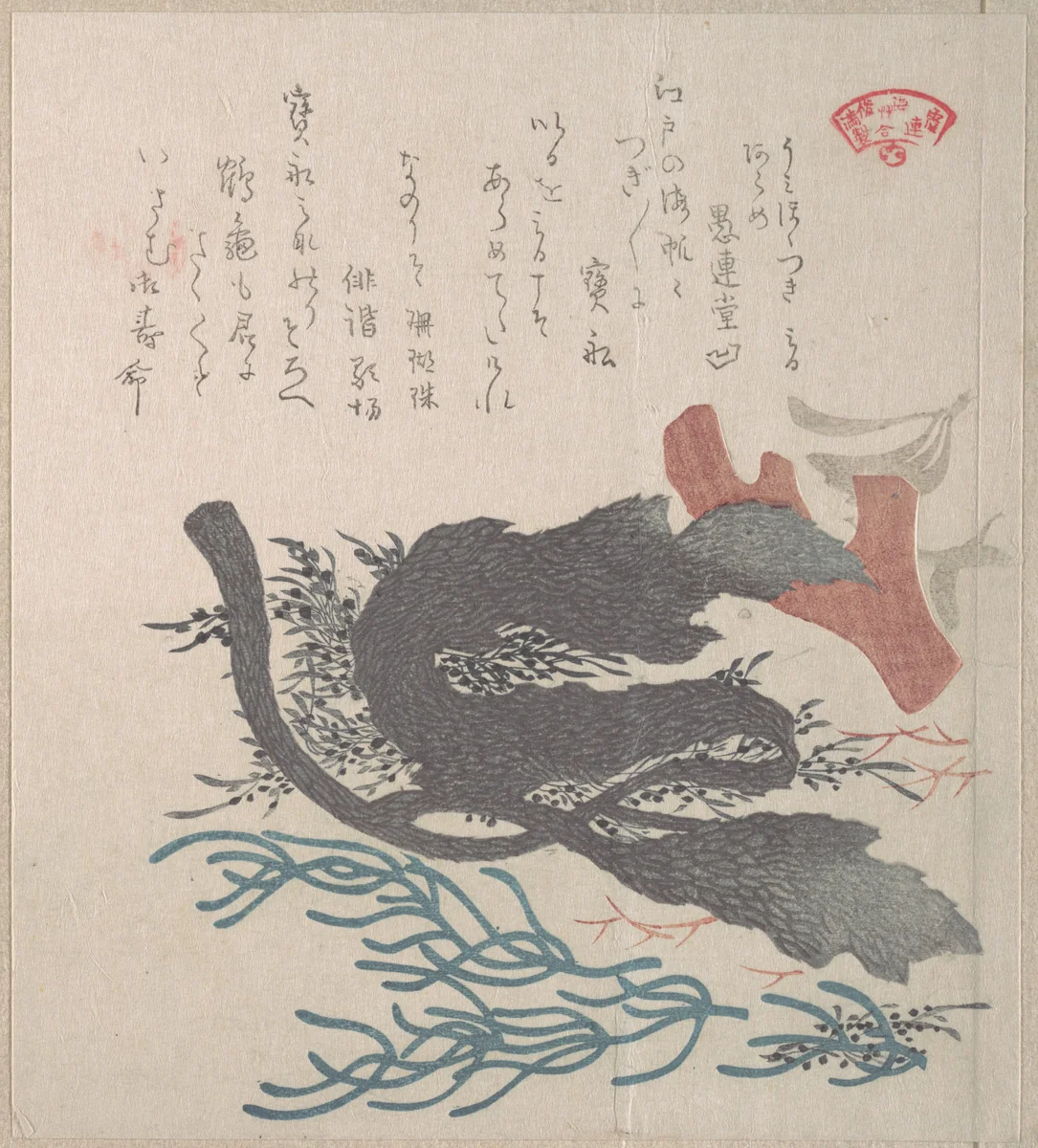 Various Seaweed by Kubo Shunman (窪俊満), print, 1800-1899