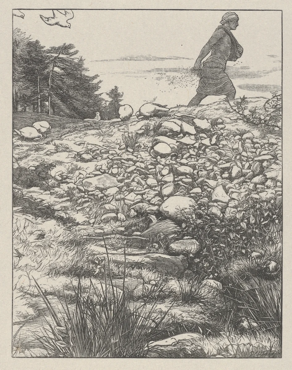 The Sower (The Parables of Our Lord and Saviour Jesus Christ) by John Everett Millais, print, 1864