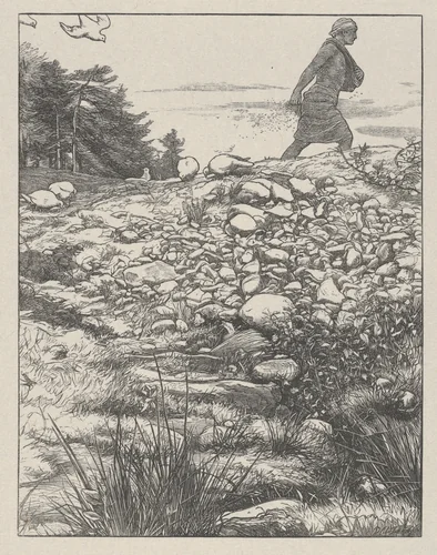 The Sower (The Parables of Our Lord and Saviour Jesus Christ) by John Everett Millais, print, 1864