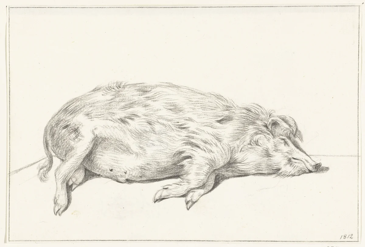 Liggend varken, naar rechts by Jean Bernard, drawing, 1812