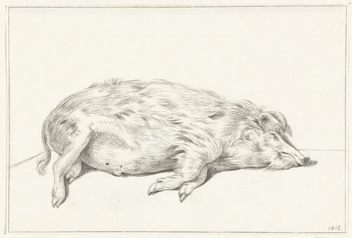 Liggend varken, naar rechts by Jean Bernard, drawing, 1812