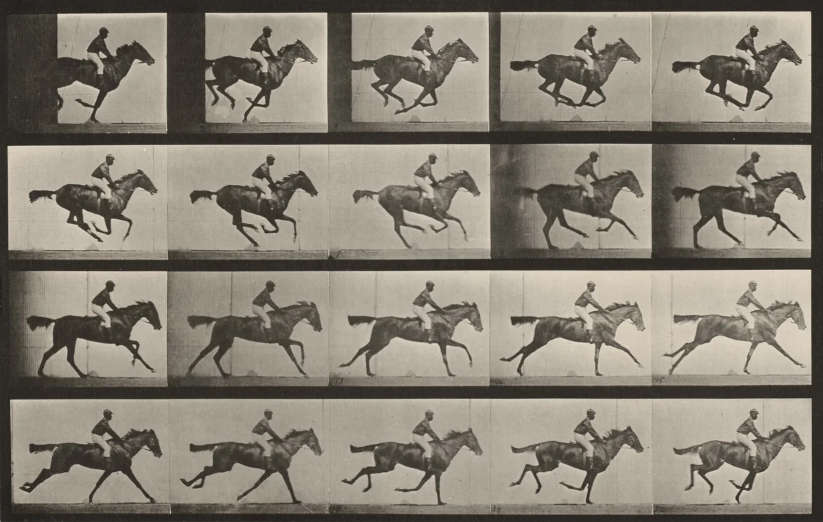 Plate Number 627. "Annie G." galloping by Eadweard Muybridge, photograph, 1887