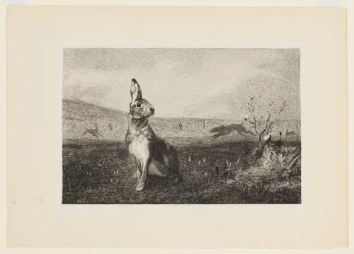 Le Lievre by Félix Bracquemond, print, 1860-1870