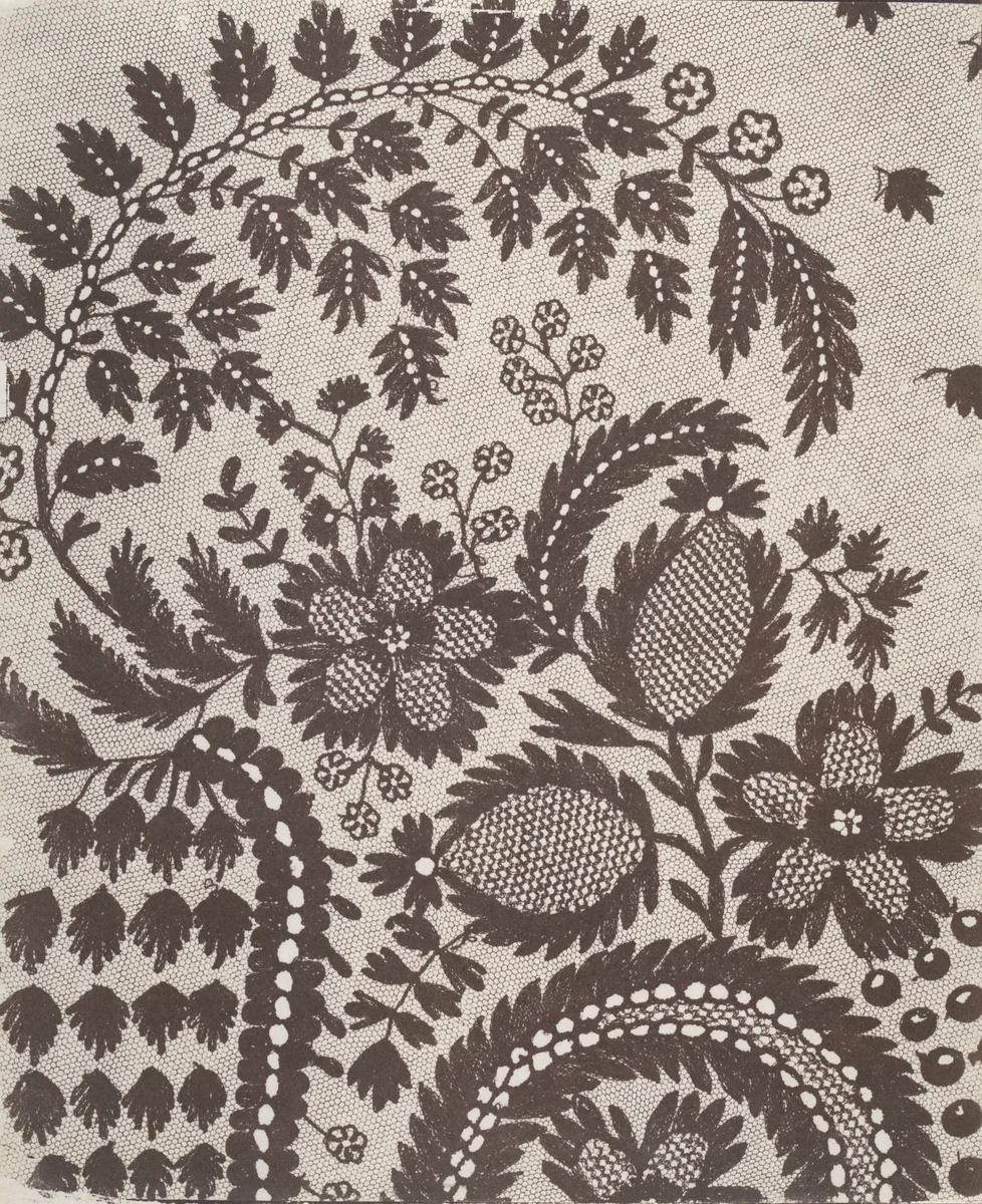 Lace by William Henry Fox Talbot, photograph