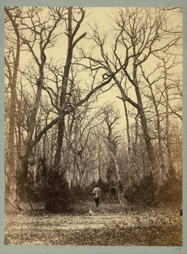 [Man in a Forest Landscape] by Constant Alexandre Famin, photograph, 1868-1872