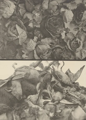 Page from Festons und Dekorative Gruppen by Unidentified Photographer, photograph, 1893