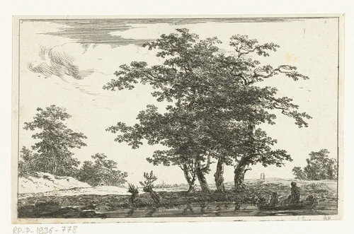 Zwaar geboomte aan een plas by Hermanus van Brussel, print, 1800-1815