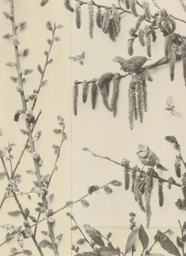 Page from Festons und Dekorative Gruppen by Unidentified Photographer, photograph, 1893