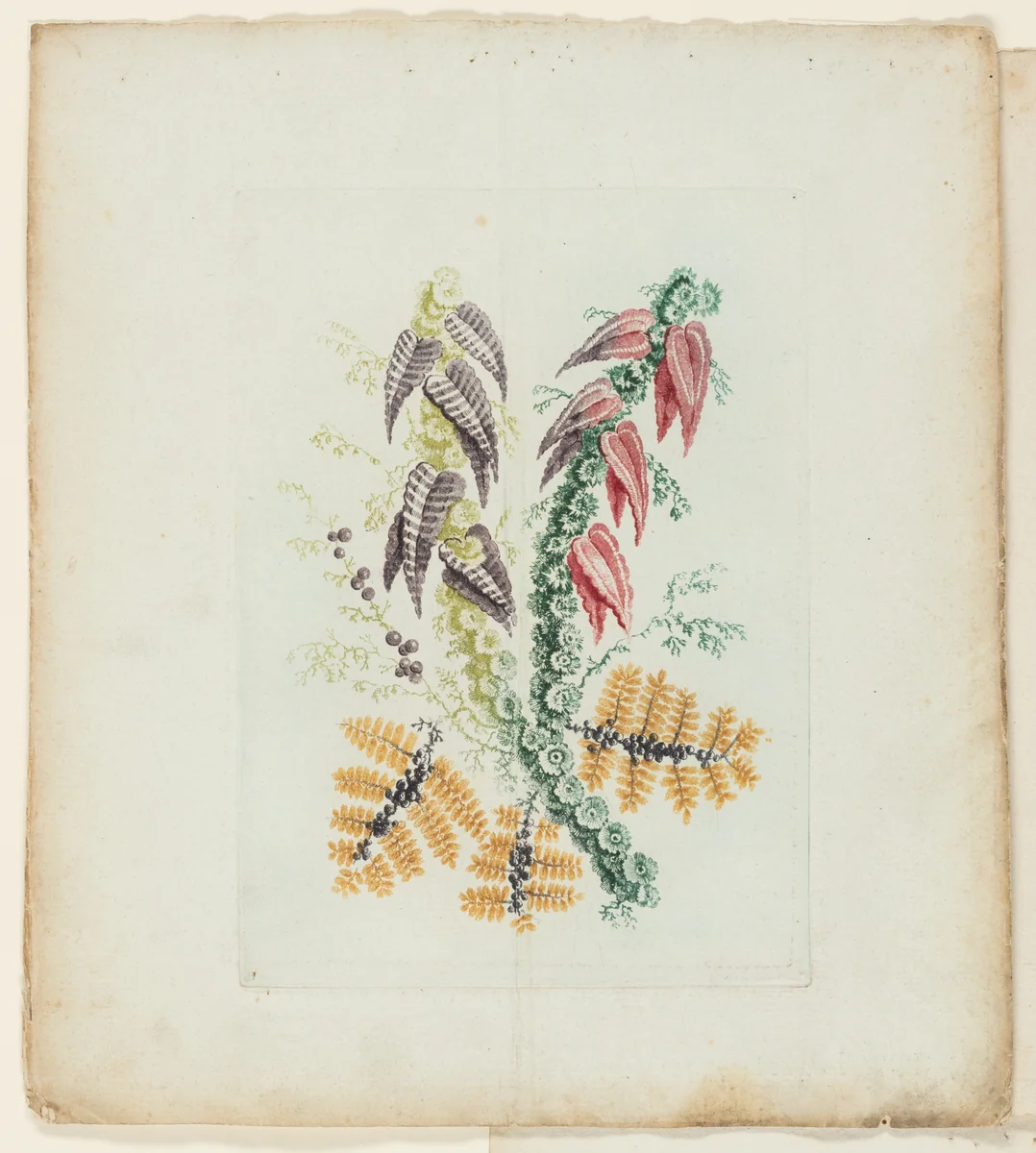 Plate, from New Suite of Notebooks of Ideal Flowers for Use by Draftsmen and Painters by Jean Baptiste Pillement, print, 1795