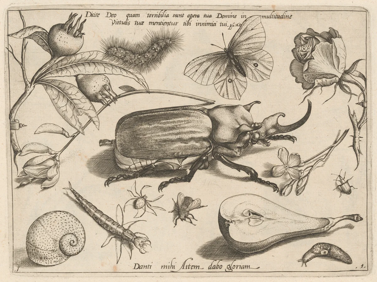 Part 1, Plate 1, from the series Archetypa studiaque (Archetypes and Studies) by Jacob Hoefnagel; Joris Hoefnagel, print, 1592