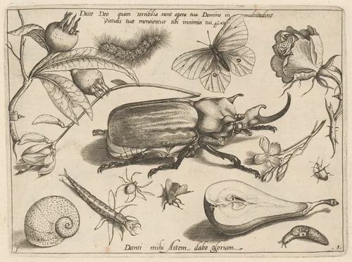 Part 1, Plate 1, from the series Archetypa studiaque (Archetypes and Studies) by Jacob Hoefnagel; Joris Hoefnagel, print, 1592