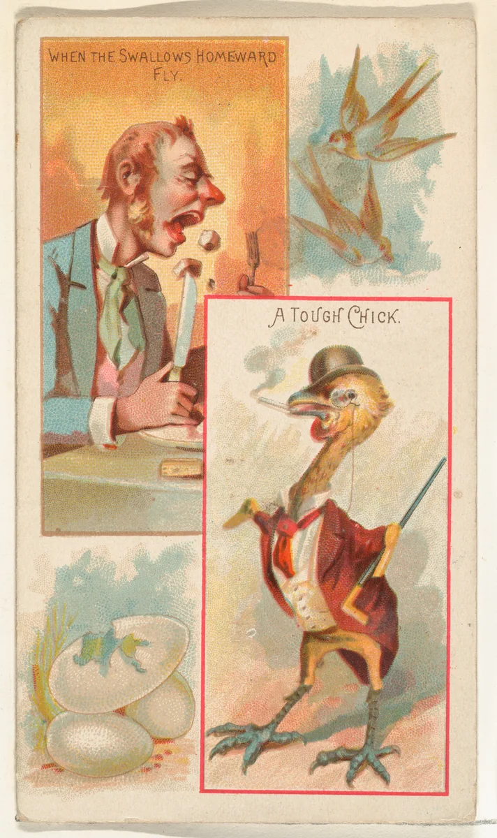 When the Swallows Homeward Fly / A Tough Chick, from the Jokes series (N118) issued by Duke Sons & Co. to promote Honest Long Cut Tobacco by W. Duke, Sons & Co., print, 1890-1893