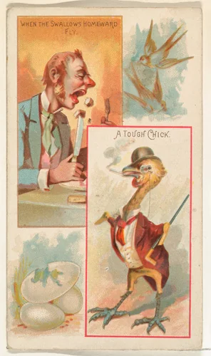 When the Swallows Homeward Fly / A Tough Chick, from the Jokes series (N118) issued by Duke Sons & Co. to promote Honest Long Cut Tobacco by W. Duke, Sons & Co., print, 1890-1893