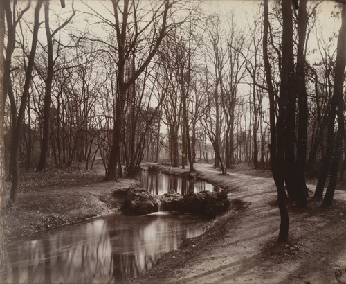 Bois de Boulogne by Eugène Atget, photograph, 1923