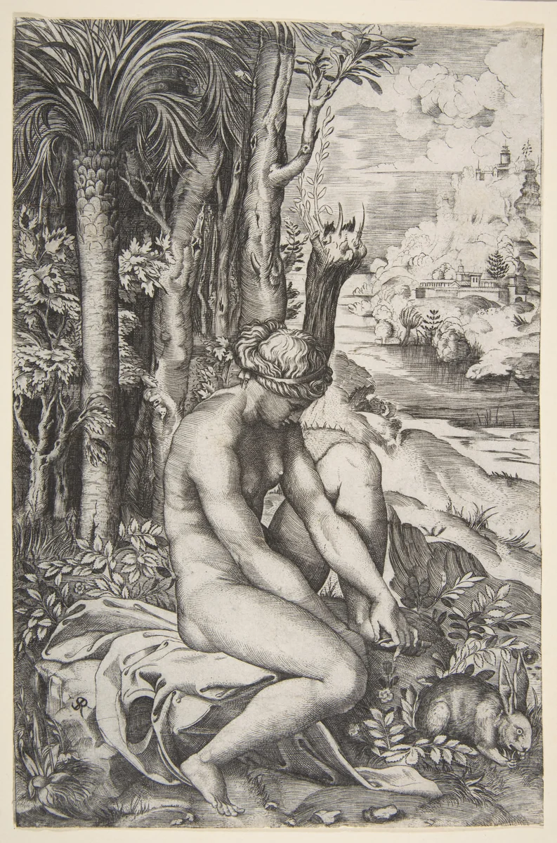 Venus removing a thorn from her left foot while seated on a cloth next to trees, a hare lower right by Marco Dente, print, 1510-1532