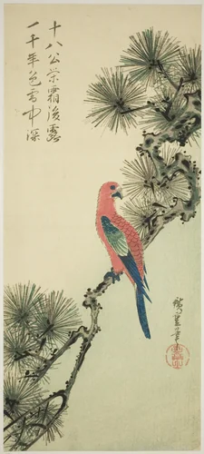 Macaw on a pine branch by Utagawa Hiroshige (歌川広重), print, 1830-1840